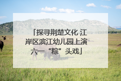 探寻荆楚文化 江岸区滨江幼儿园上演六一“粽”头戏
