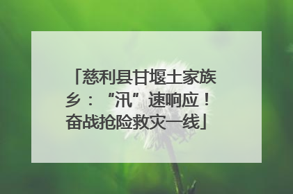 慈利县甘堰土家族乡：“汛”速响应！奋战抢险救灾一线