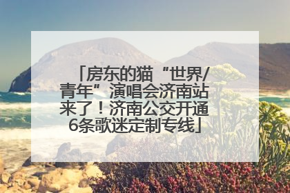 房东的猫“世界/青年”演唱会济南站来了！济南公交开通6条歌迷定制专线