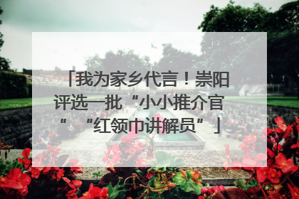 我为家乡代言！崇阳评选一批“小小推介官”“红领巾讲解员”