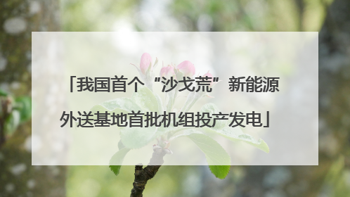 我国首个“沙戈荒”新能源外送基地首批机组投产发电