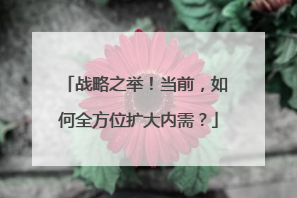 战略之举！当前，如何全方位扩大内需？