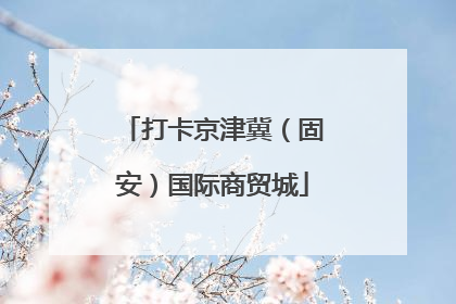 打卡京津冀（固安）国际商贸城