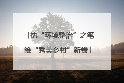 执“环境整治”之笔 绘“秀美乡村”新卷