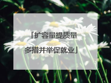 扩容量提质量 多措并举促就业