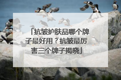 抗皱护肤品哪个牌子最好用？抗皱最厉害三个牌子揭晓