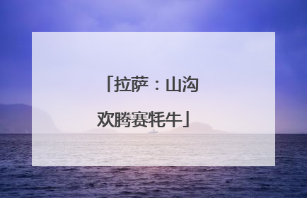 拉萨：山沟欢腾赛牦牛