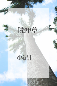 指甲草小记