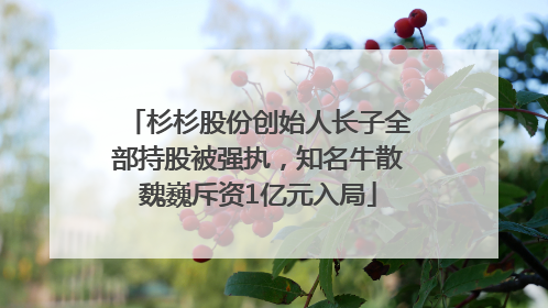 杉杉股份创始人长子全部持股被强执，知名牛散魏巍斥资1亿元入局
