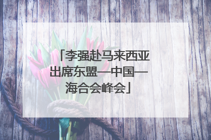 李强赴马来西亚出席东盟—中国—海合会峰会