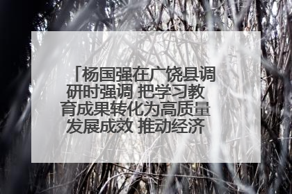 杨国强在广饶县调研时强调 把学习教育成果转化为高质量发展成效 推动经济稳健向好进中提质