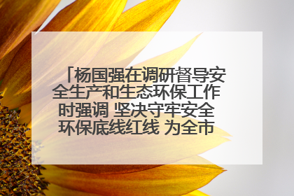 杨国强在调研督导安全生产和生态环保工作时强调 坚决守牢安全环保底线红线 为全市经济社会高质量发展提供坚强保障