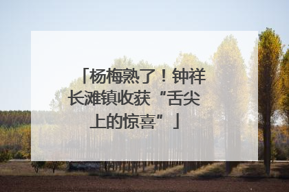 杨梅熟了！钟祥长滩镇收获“舌尖上的惊喜”