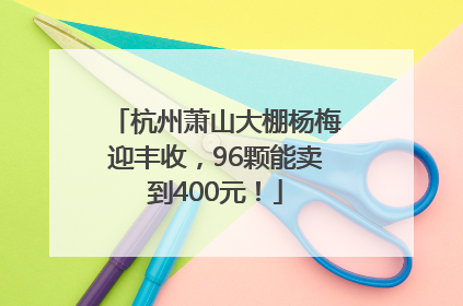 杭州萧山大棚杨梅迎丰收，96颗能卖到400元！