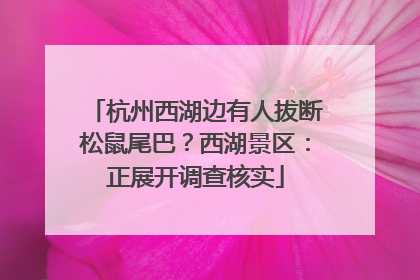 杭州西湖边有人拔断松鼠尾巴？西湖景区：正展开调查核实