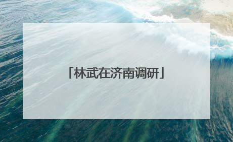 林武在济南调研