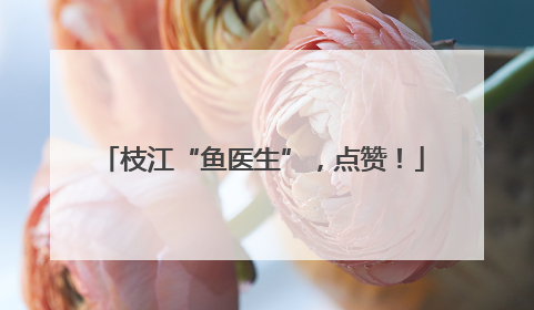 枝江“鱼医生”，点赞！
