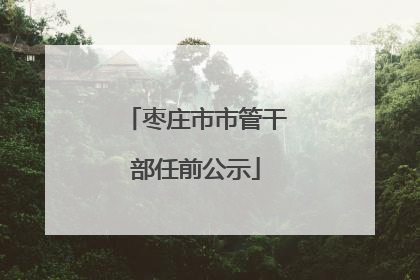 枣庄市市管干部任前公示