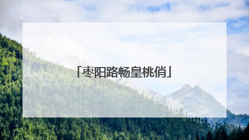 枣阳路畅皇桃俏