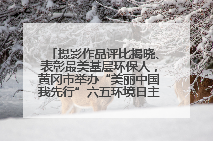 摄影作品评比揭晓、表彰最美基层环保人，黄冈市举办“美丽中国我先行”六五环境日主题宣传活动