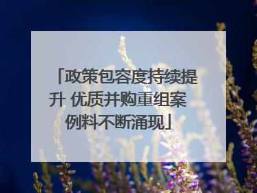 政策包容度持续提升 优质并购重组案例料不断涌现