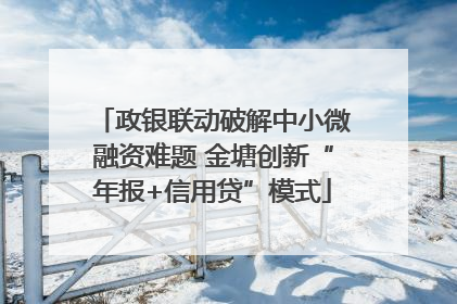 政银联动破解中小微融资难题 金塘创新“年报+信用贷”模式