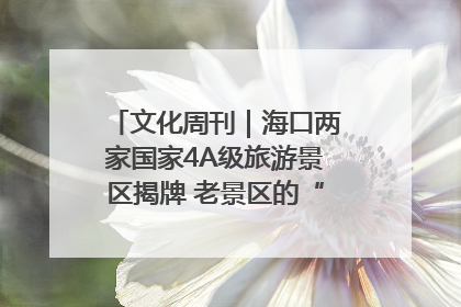 文化周刊｜海口两家国家4A级旅游景区揭牌 老景区的“焕新”密码