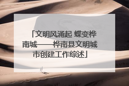 文明风涌起 蝶变桦南城——桦南县文明城市创建工作综述