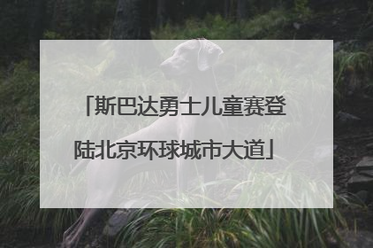 斯巴达勇士儿童赛登陆北京环球城市大道