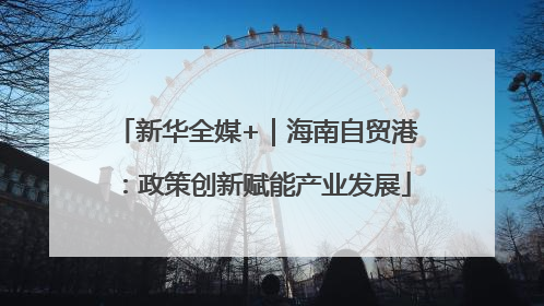新华全媒+｜海南自贸港：政策创新赋能产业发展