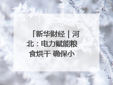 新华财经｜河北：电力赋能粮食烘干 确保小麦高质量归仓
