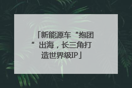 新能源车“抱团”出海,长三角打造世界级IP