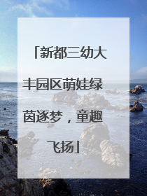 新都三幼大丰园区萌娃绿茵逐梦，童趣飞扬