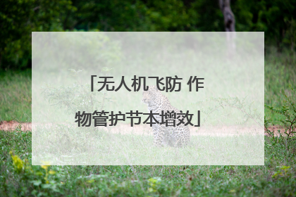 无人机飞防 作物管护节本增效