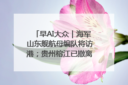 早AI大众｜海军山东舰航母编队将访港；贵州榕江已撤离转移群众超4万人