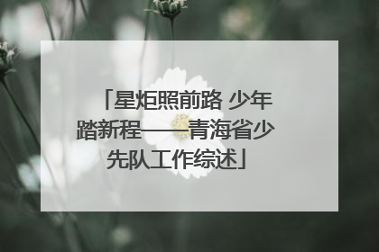 星炬照前路 少年踏新程——青海省少先队工作综述