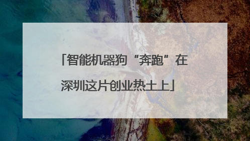 智能机器狗“奔跑”在深圳这片创业热土上