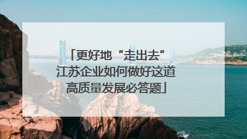 更好地“走出去” 江苏企业如何做好这道高质量发展必答题