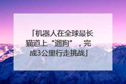机器人在全球最长猫道上“遛狗”，完成3公里行走挑战