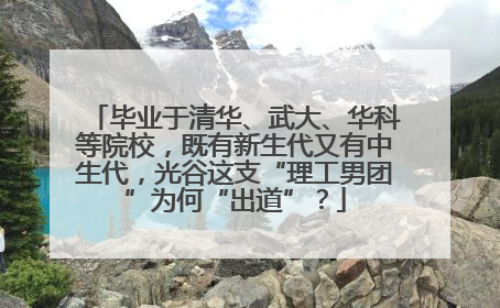 毕业于清华、武大、华科等院校，既有新生代又有中生代，光谷这支“理工男团”为何“出道”？