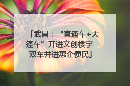 武昌：“直通车+大篷车”开进文创楼宇 双车并进惠企便民