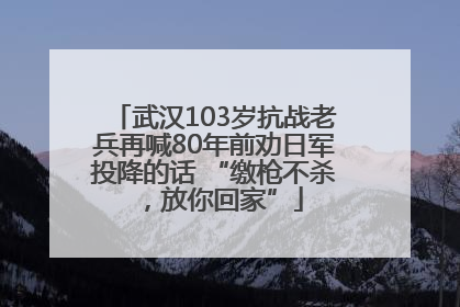 武汉103岁抗战老兵再喊80年前劝日军投降的话 “缴枪不杀，放你回家”