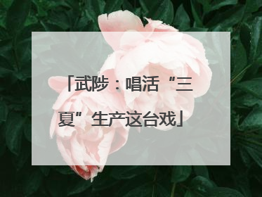武陟：唱活“三夏”生产这台戏