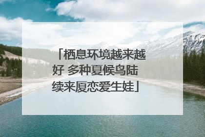 栖息环境越来越好 多种夏候鸟陆续来厦恋爱生娃