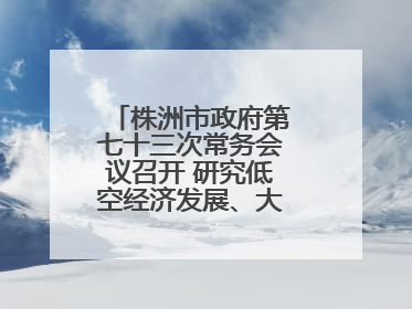 株洲市政府第七十三次常务会议召开 研究低空经济发展、大抓落实等工作
