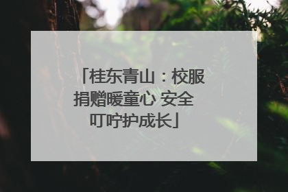 桂东青山：校服捐赠暖童心 安全叮咛护成长