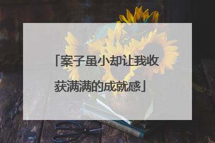 案子虽小却让我收获满满的成就感