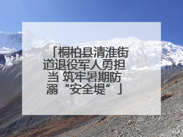 桐柏县清淮街道退役军人勇担当 筑牢暑期防溺“安全堤”