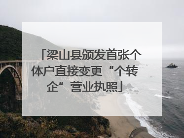 梁山县颁发首张个体户直接变更“个转企”营业执照