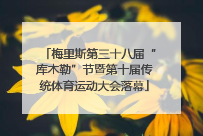 梅里斯第三十八届“库木勒”节暨第十届传统体育运动大会落幕